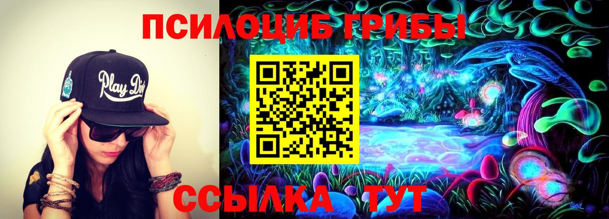 Галлюциногенные грибы ЛСД  цена наркотик  Сосновый Бор  Вход с VPN 