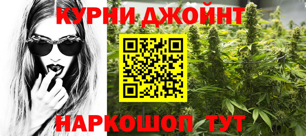 Конопля индика Сосновый Бор